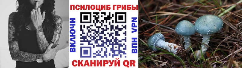 сайты даркнета формула  Пролетарск  Галлюциногенные грибы прущие грибы  продажа наркотиков 