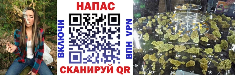 гидра вход  Пролетарск  Конопля Amnesia  где найти наркотики 